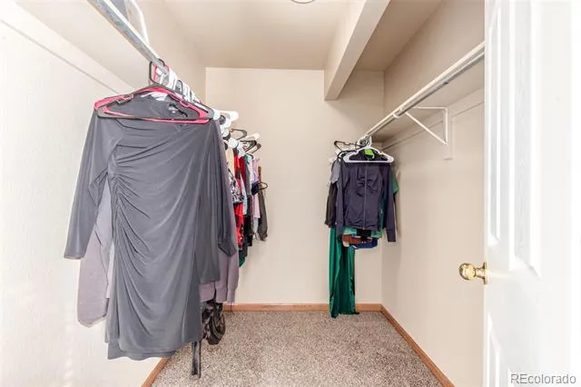 3722 Ironhorse Drive Evans, CO 80620