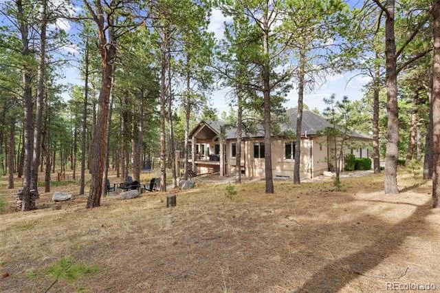15424 Pole Pine Point Colorado Springs, CO 80908