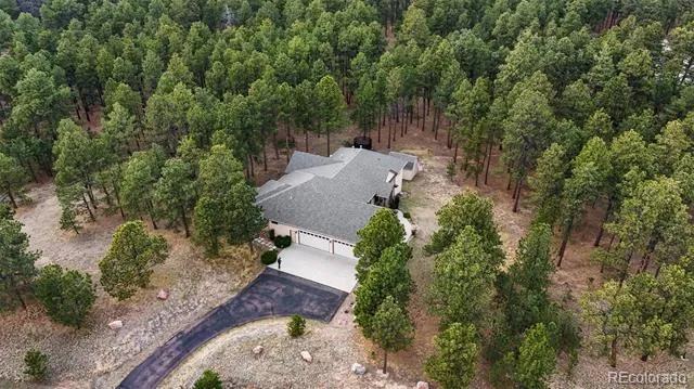 15424 Pole Pine Point Colorado Springs, CO 80908