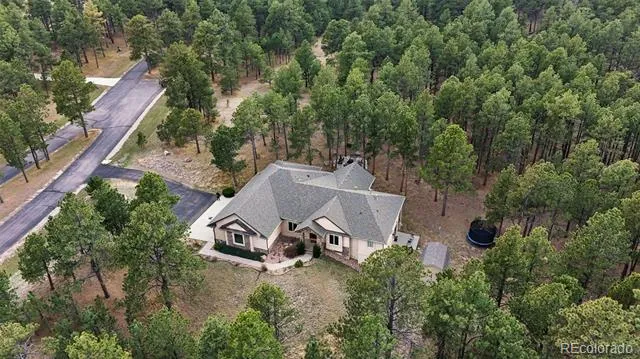 15424 Pole Pine Point Colorado Springs, CO 80908