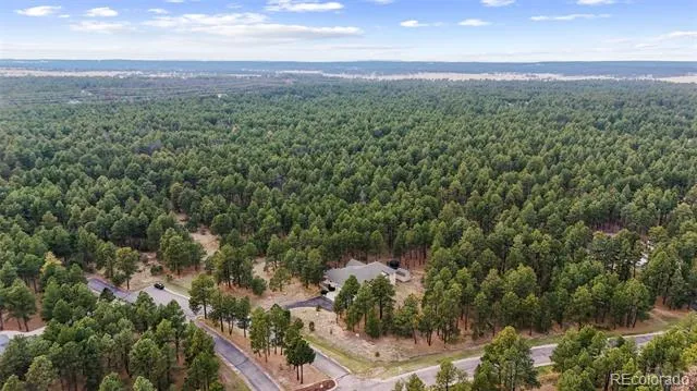15424 Pole Pine Point Colorado Springs, CO 80908