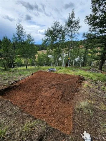 1076 Spring Valley Lane Florissant, CO 80816