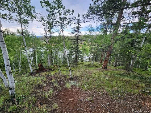1076 Spring Valley Lane Florissant, CO 80816