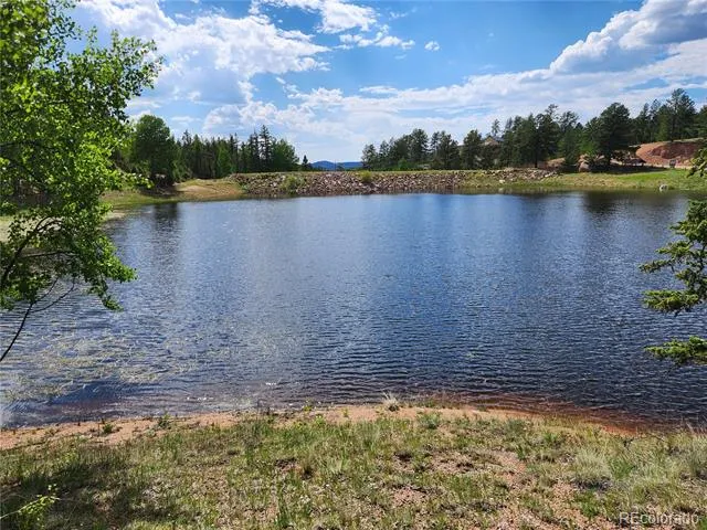1076 Spring Valley Lane Florissant, CO 80816