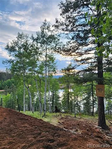 1076 Spring Valley Lane Florissant, CO 80816