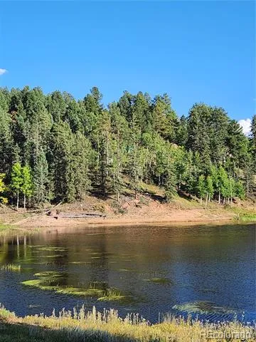 1076 Spring Valley Lane Florissant, CO 80816