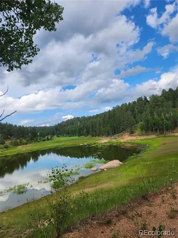 1076 Spring Valley Lane Florissant, CO 80816