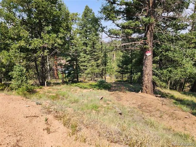 1076 Spring Valley Lane Florissant, CO 80816