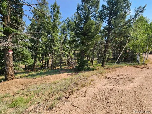 1076 Spring Valley Lane Florissant, CO 80816
