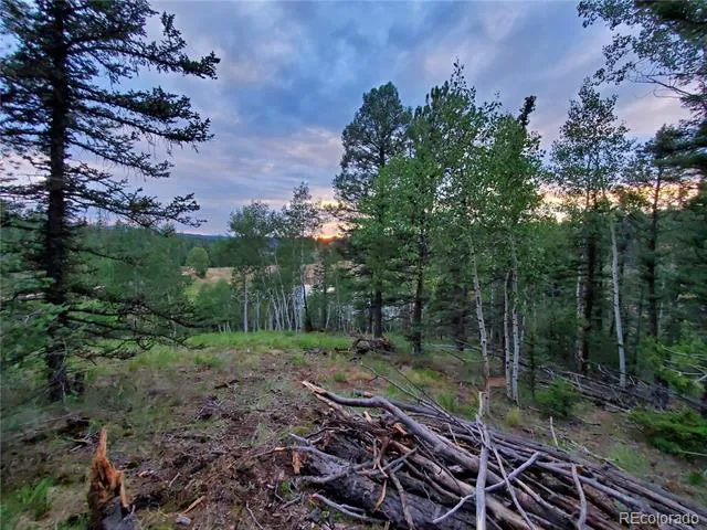 1076 Spring Valley Lane Florissant, CO 80816
