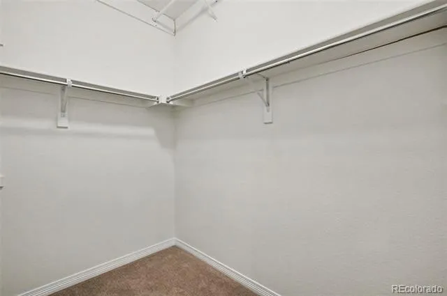 8777 Ginkgo Loop Parker, CO 80134
