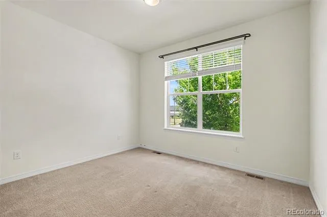8777 Ginkgo Loop Parker, CO 80134
