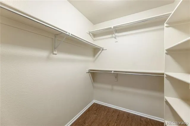 1431 Turnberry Drive Castle Rock, CO 80104