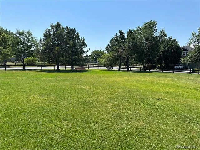 11033 Pheasant Court Parker, CO 80134