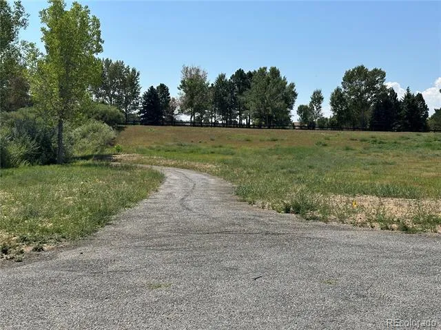 11033 Pheasant Court Parker, CO 80134