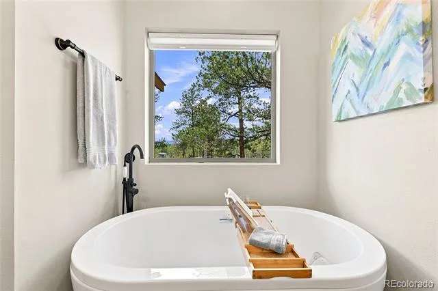 168 Spade Place Jefferson, CO 80456