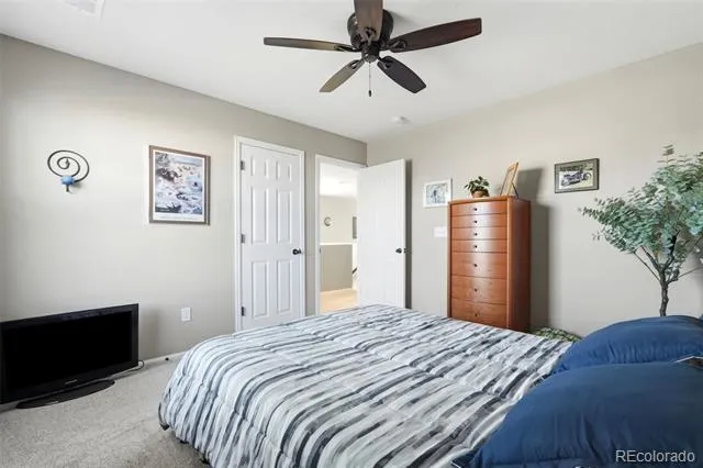 359 Vista Cliff Circle Castle Rock, CO 80104