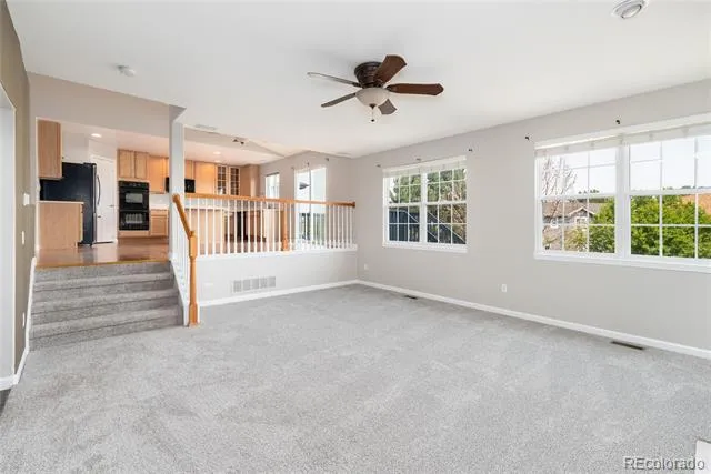 4341 Millwagon Trail Castle Rock, CO 80109