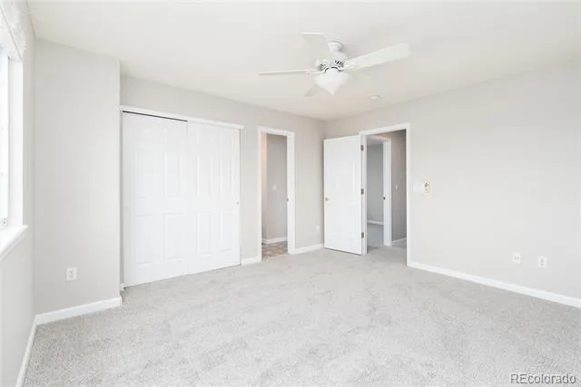 4341 Millwagon Trail Castle Rock, CO 80109