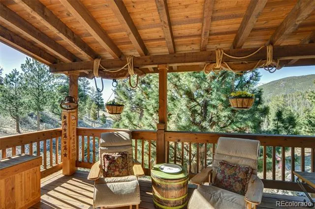 30054 Creek Run Buena Vista, CO 81211