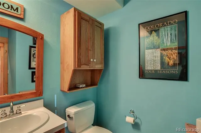 30054 Creek Run Buena Vista, CO 81211