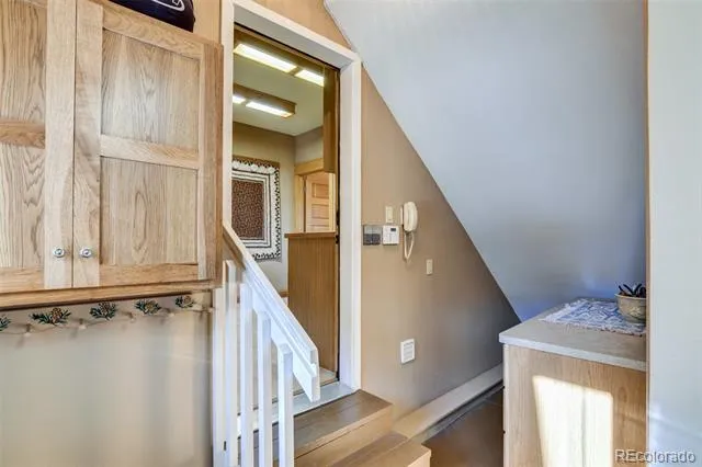 30054 Creek Run Buena Vista, CO 81211
