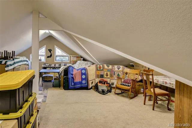 30054 Creek Run Buena Vista, CO 81211