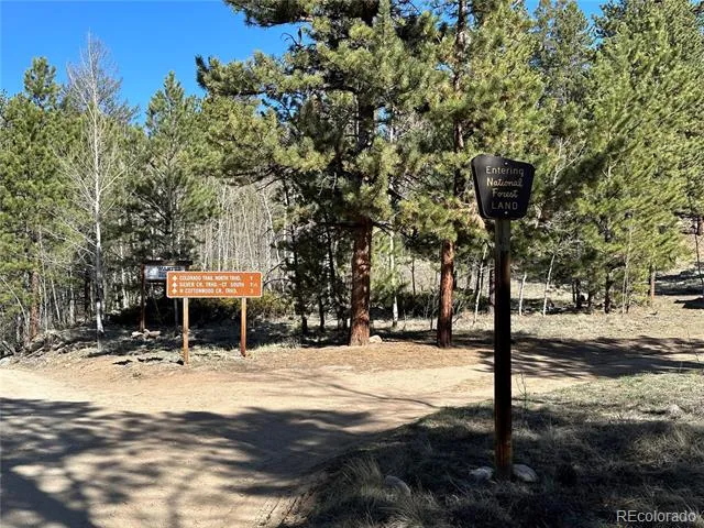 30054 Creek Run Buena Vista, CO 81211