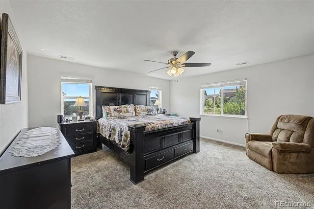 7514 Blue Water Drive Castle Rock, CO 80108