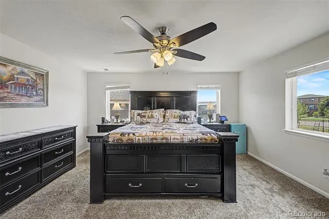 7514 Blue Water Drive Castle Rock, CO 80108