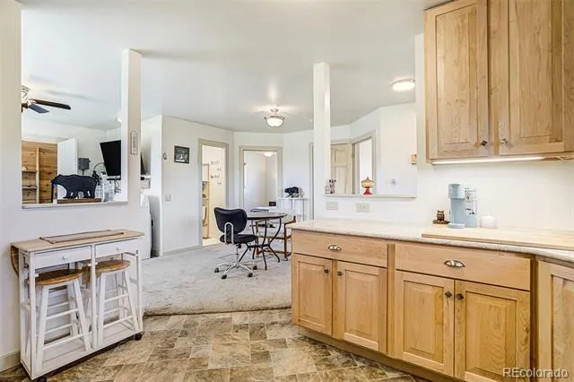 4510 County Road 71 Guffey, CO 80820