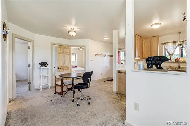 4510 County Road 71 Guffey, CO 80820