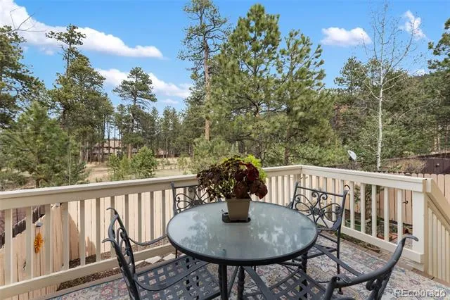 742 Westwood Trace Woodland Park, CO 80863