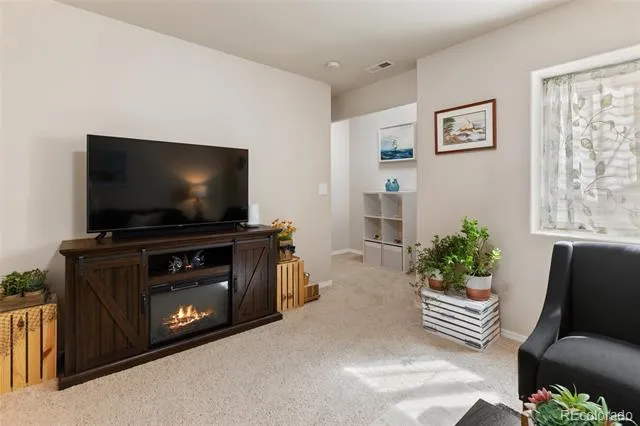 742 Westwood Trace Woodland Park, CO 80863