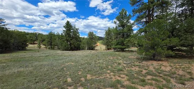 638 Keith Lane Cotopaxi, CO 81223