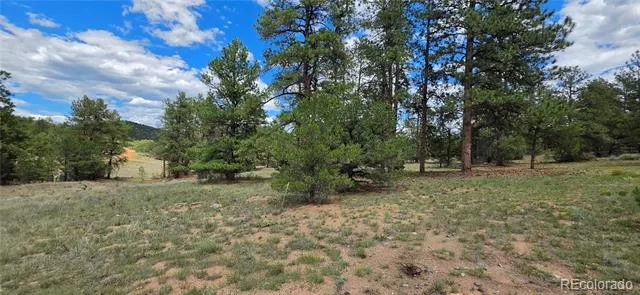 638 Keith Lane Cotopaxi, CO 81223