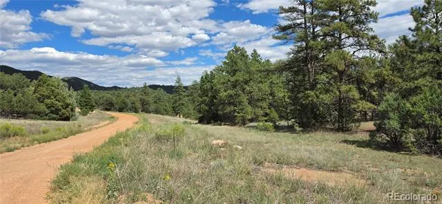 638 Keith Lane Cotopaxi, CO 81223