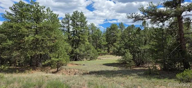 638 Keith Lane Cotopaxi, CO 81223