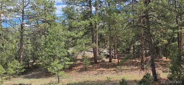 638 Keith Lane Cotopaxi, CO 81223