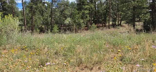 638 Keith Lane Cotopaxi, CO 81223