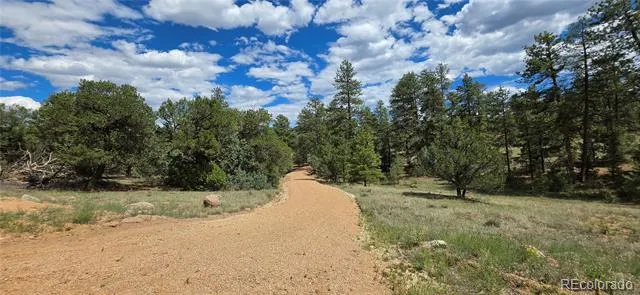 638 Keith Lane Cotopaxi, CO 81223