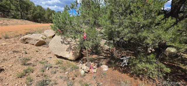 638 Keith Lane Cotopaxi, CO 81223