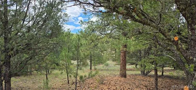 638 Keith Lane Cotopaxi, CO 81223