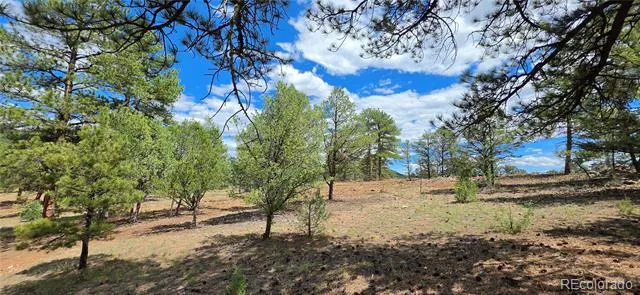 638 Keith Lane Cotopaxi, CO 81223