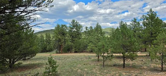 638 Keith Lane Cotopaxi, CO 81223