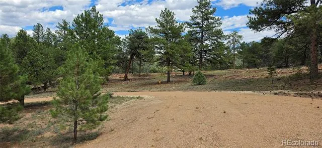 638 Keith Lane Cotopaxi, CO 81223