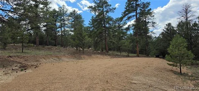 638 Keith Lane Cotopaxi, CO 81223