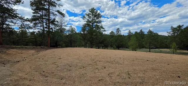 638 Keith Lane Cotopaxi, CO 81223