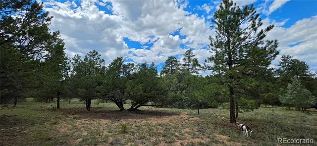 638 Keith Lane Cotopaxi, CO 81223
