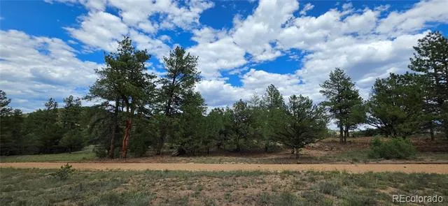 638 Keith Lane Cotopaxi, CO 81223